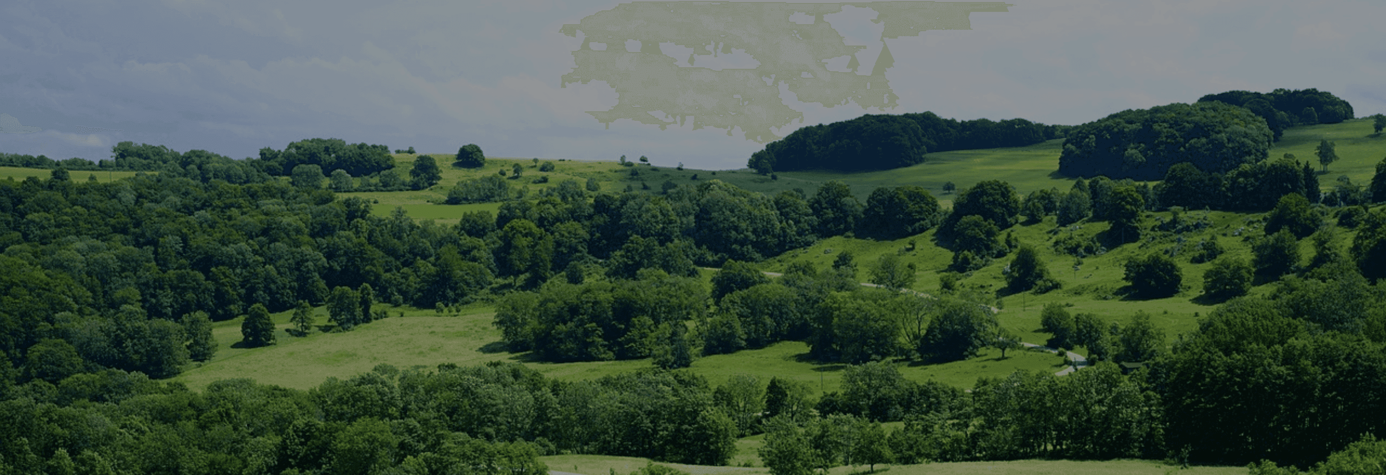 Eine ruhige grüne Landschaft mit sanften Hügeln und Bäumen.